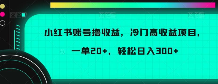 小红书账号撸收益，冷门高收益项目，一单20+，轻松日入300+【揭秘】-康仁安网创