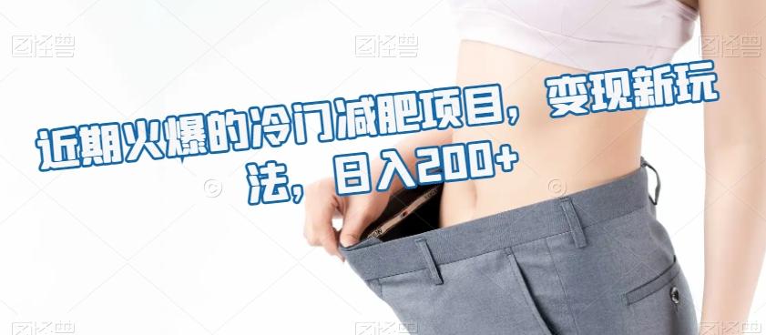 近期火爆的冷门减肥项目,变现新玩法,日入200+-康仁安网创