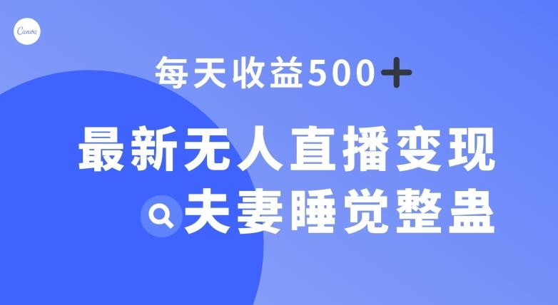 最新无人直播变现，夫妻睡觉整蛊，每天躺赚500+【揭秘】-康仁安网创