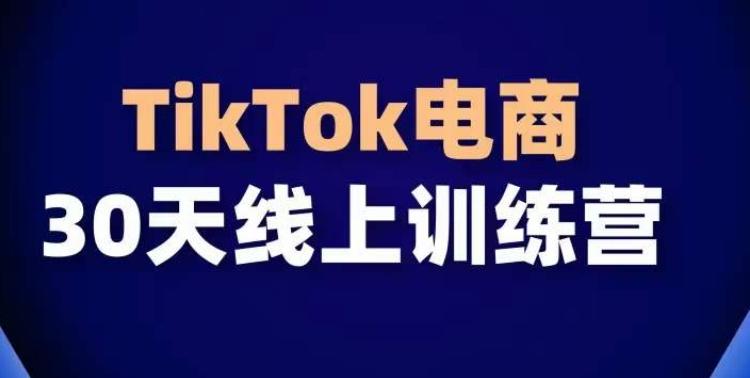 TikTok电商带货30天线上课,不可错过的全球流量洼地!-康仁安网创