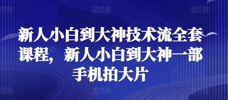 新人小白到大神技术流全套课程，新人小白到大神一部手机拍大片-康仁安网创