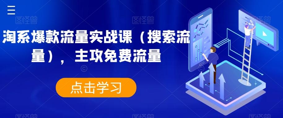 淘系爆款流量实战课（搜索流量），主攻免费流量-康仁安网创