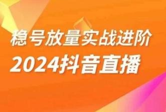 稳号放量实战进阶—2024抖音直播,直播间精细化运营的几大步骤-康仁安网创