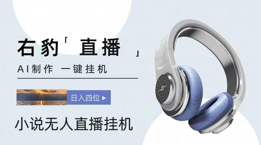 右豹小说无人直播挂机吸金项目，简单易行收益稳定， 月入1000+-康仁安网创