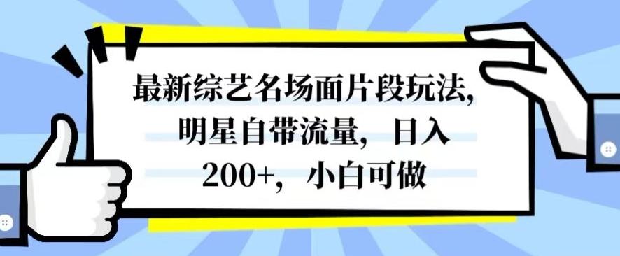 最新综艺名场面片段玩法,明星自带流量,日入200+,小白可做【揭秘】-康仁安网创