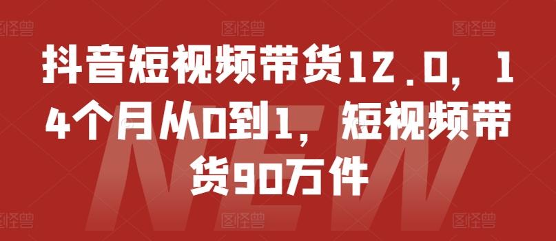 抖音短视频带货12.0，14个月从0到1，短视频带货90万件-康仁安网创