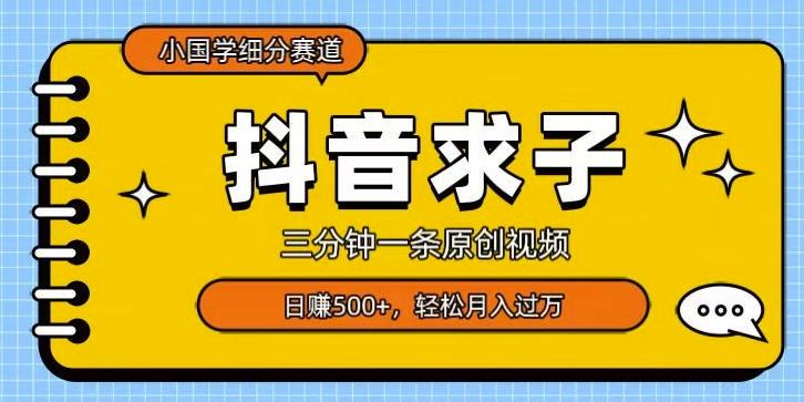 小国学细分赛道，三分钟一条原创视频，日赚500+，可矩阵复制-康仁安网创