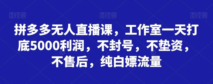 拼多多无人直播课,工作室一天打底5000利润,不封号,不垫资,不售后,纯白嫖流量-康仁安网创