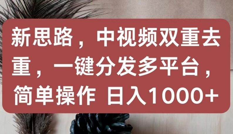 新思路,中视频双重去重,一键分发多平台,简单操作,日入1000+【揭秘】-康仁安网创