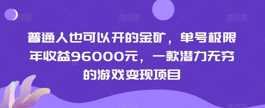 普通人也可以开的金矿，单号极限年收益96000元，一款潜力无穷的游戏变现项目【揭秘】-康仁安网创
