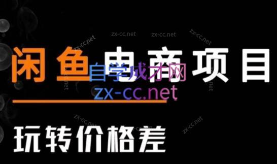 亿创繁星·闲鱼电商项目(玩转价格差)-康仁安网创