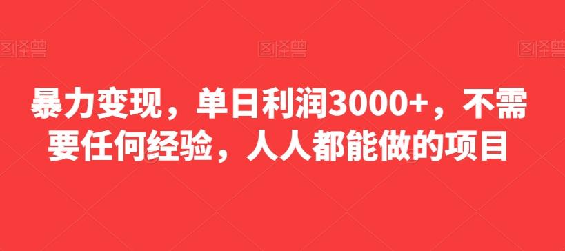 暴力变现,单日利润3000+,不需要任何经验,人人都能做的项目-康仁安网创