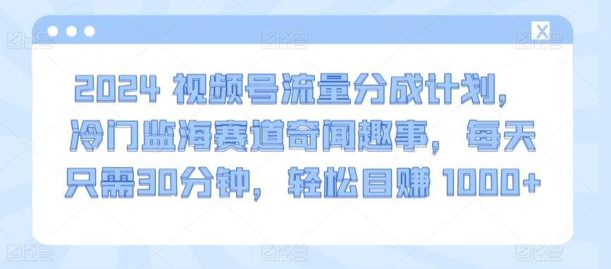 2024视频号流量分成计划，冷门监海赛道奇闻趣事，每天只需30分钟，轻松目赚 1000+【揭秘】-康仁安网创