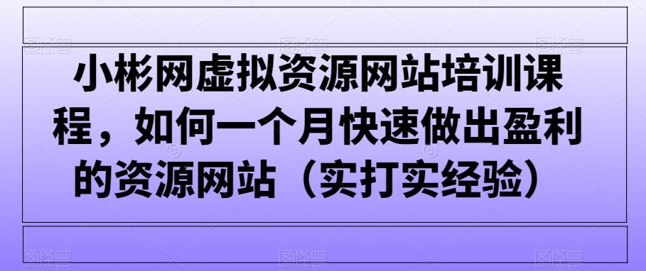 小彬网虚拟资源网站培训课程,如何一个月快速做出盈利的资源网站(实打实经验)-康仁安网创