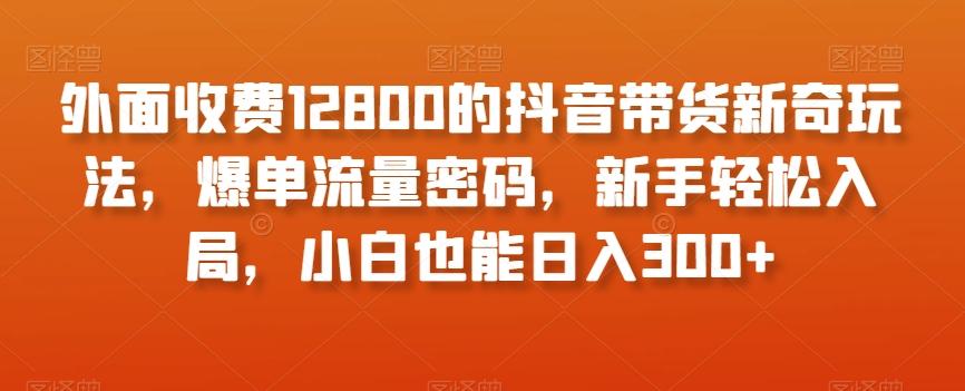 外面收费12800的抖音带货新奇玩法，爆单流量密码，新手轻松入局，小白也能日入300+【揭秘】-康仁安网创