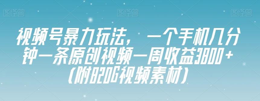 视频号暴力玩法,一个手机几分钟一条原创视频一周收益3800+(附820G视频素材)-康仁安网创