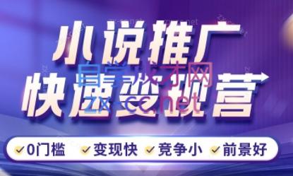 洲洲老师·小说推广快速变现营-康仁安网创