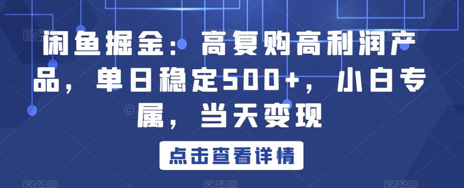 闲鱼掘金：高复购高利润产品，单日稳定500+，小白专属，当天变现-康仁安网创