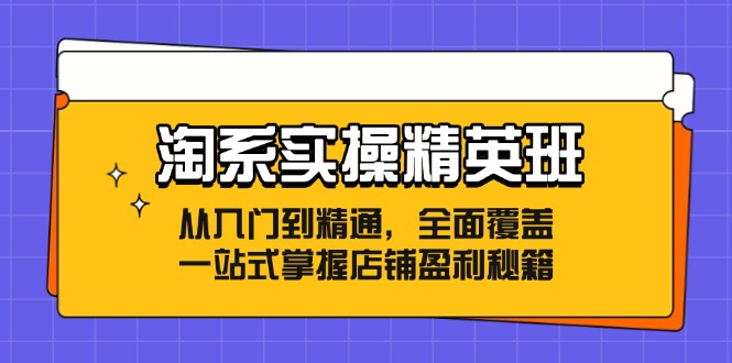 淘系实操精英班:从入门到精通,全面覆盖,一站式掌握店铺盈利秘籍-康仁安网创