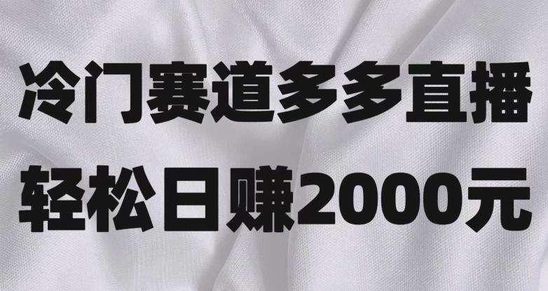 冷门赛道拼多多直播,简单念稿子,日收益2000+【揭秘】-康仁安网创