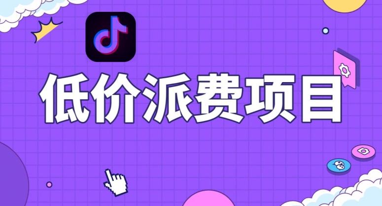 抖音低价派单项目,0门槛,日入1000+很轻松,小白可操作【揭秘】-康仁安网创