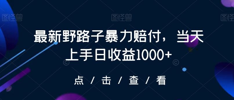 最新野路子暴力赔付，当天上手日收益1000+【仅揭秘】-康仁安网创