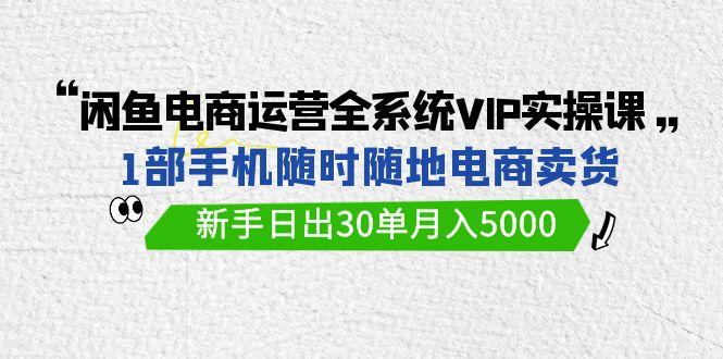 (9547期)闲鱼电商运营全系统VIP实战课，1部手机随时随地卖货，新手日出30单月入5000-康仁安网创