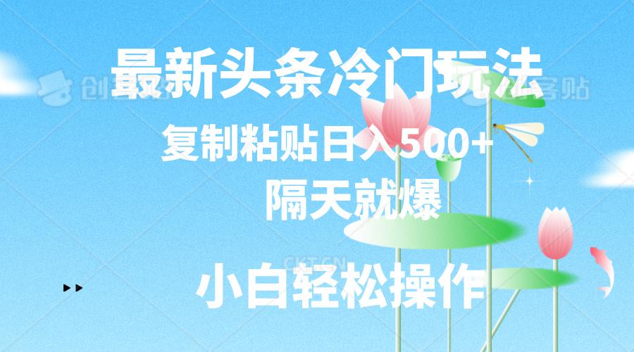 最新头条冷门玩法，隔天就爆，复制粘贴日入500+-康仁安网创
