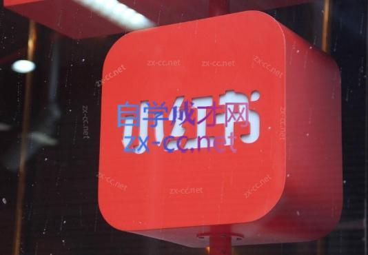 伊伊·红薯【高级班】运营课-康仁安网创