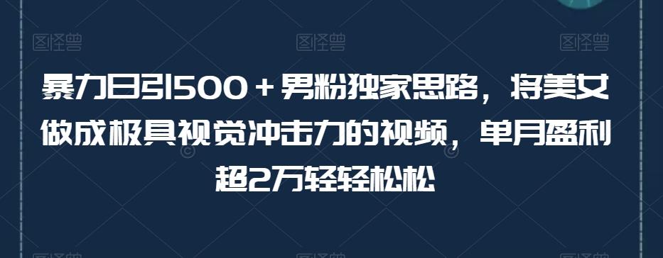 暴力日引500＋男粉独家思路，将美女做成极具视觉冲击力的视频，单月盈利超2万轻轻松松-康仁安网创