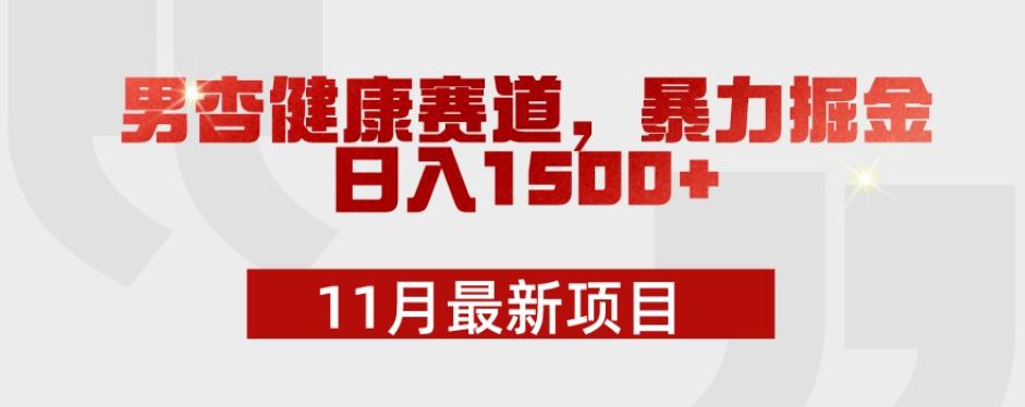11月最新项目,男杏健康赛道,暴力掘金,日入1500+-康仁安网创