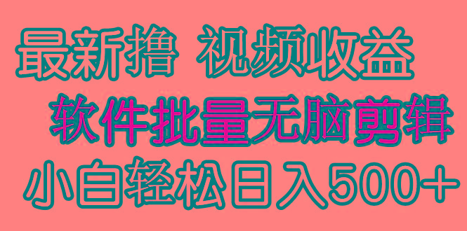 (9569期)发视频撸收益,软件无脑批量剪辑,第一天发第二天就有钱-康仁安网创