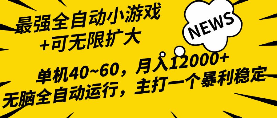 (10046期)2024最新全网独家小游戏全自动，单机40~60,稳定躺赚，小白都能月入过万-康仁安网创