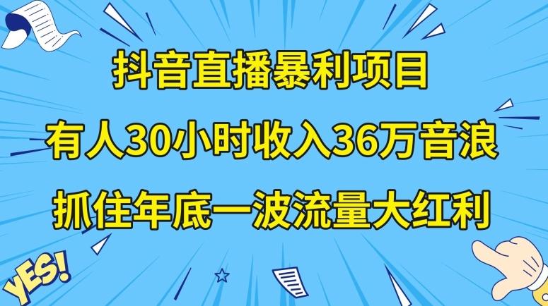 抖音直播暴利项目,有人30小时收入36万音浪,公司宣传片年会视频制作,抓住年底一波流量大红利【揭秘】-康仁安网创