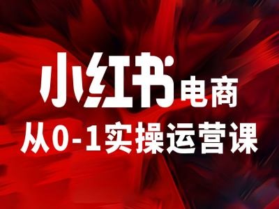 小红书电商从0-1实操运营课，让你从小白到精英-康仁安网创