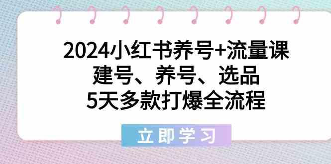 2024小红书养号+流量课:建号、养号、选品,5天多款打爆全流程-康仁安网创