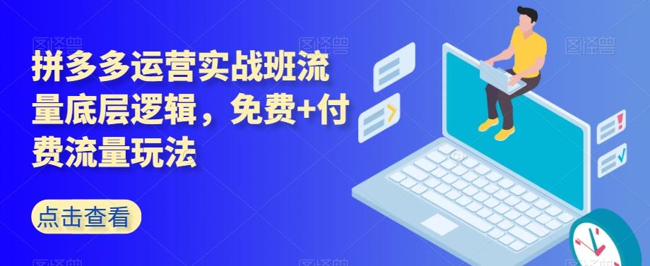 拼多多运营实战班流量底层逻辑，免费+付费流量玩法-康仁安网创