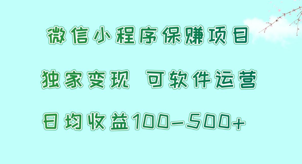 微信小程序保赚项目，日均收益100~500+，独家变现，可软件运营-康仁安网创