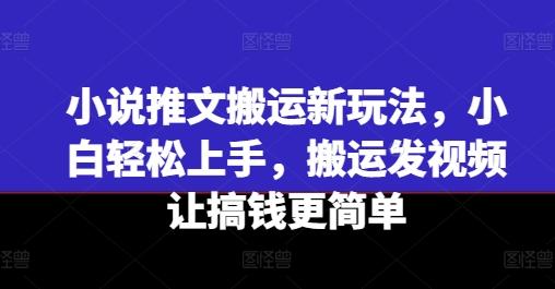 小说推文搬运新玩法，小白轻松上手，搬运发视频让搞钱更简单-康仁安网创