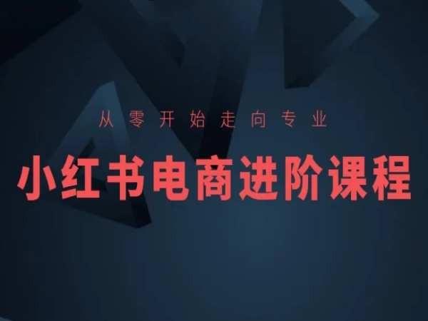 从零开始走向专业,小红书电商进阶课程-康仁安网创