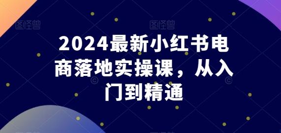 2024最新小红书电商落地实操课,从入门到精通-康仁安网创