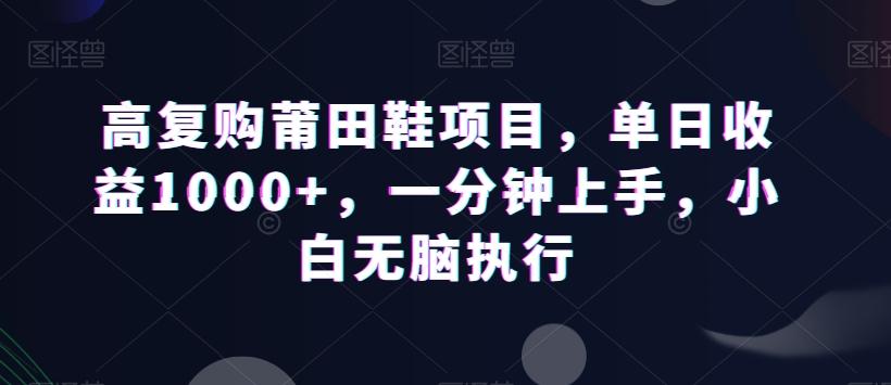 高复购莆田鞋项目,单日收益1000+,一分钟上手,小白无脑执行-康仁安网创