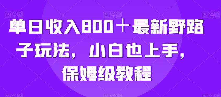 单日收入800＋最新野路子玩法，小白也上手，保姆级教程-康仁安网创