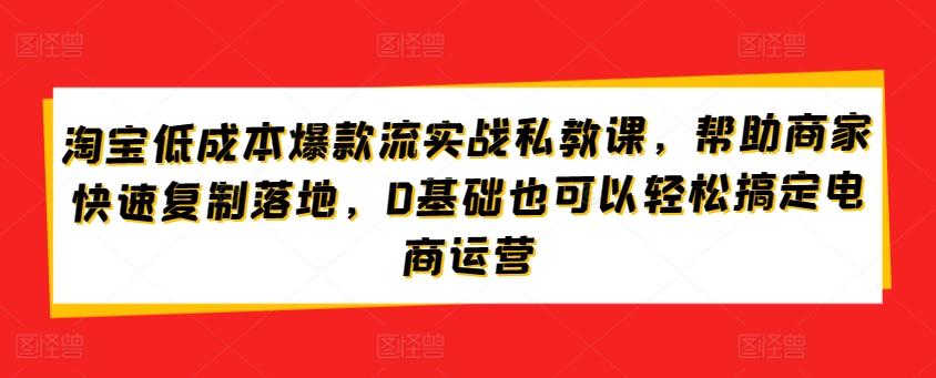 淘宝低成本爆款流实战私教课,帮助商家快速复制落地,0基础也可以轻松搞定电商运营-康仁安网创