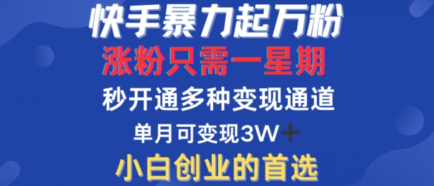 快手暴力起万粉，涨粉只需一星期，多种变现模式，直接秒开万合，单月变现过W【揭秘】-康仁安网创