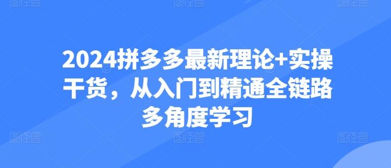 2024拼多多最新理论+实操干货,从入门到精通全链路多角度学习-康仁安网创