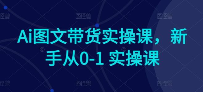 Ai图文带货实操课,新手从0-1 实操课-康仁安网创