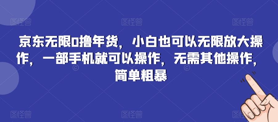 京东无限0撸年货，小白也可以无限放大操作，一部手机就可以操作，无需其他操作，简单粗暴-康仁安网创