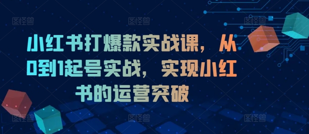 小红书打爆款实战课,从0到1起号实战,实现小红书的运营突破-康仁安网创