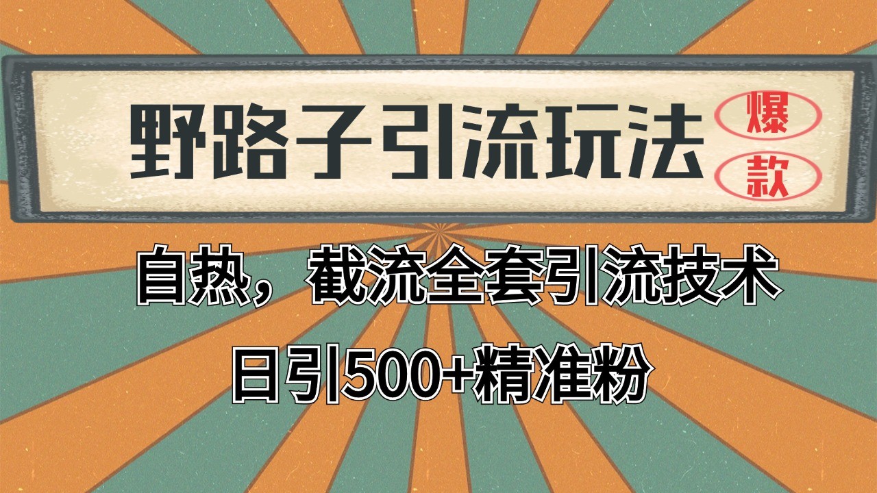 抖音小红书视频号全平台引流打法,全自动引流日引2000+精准客户-康仁安网创